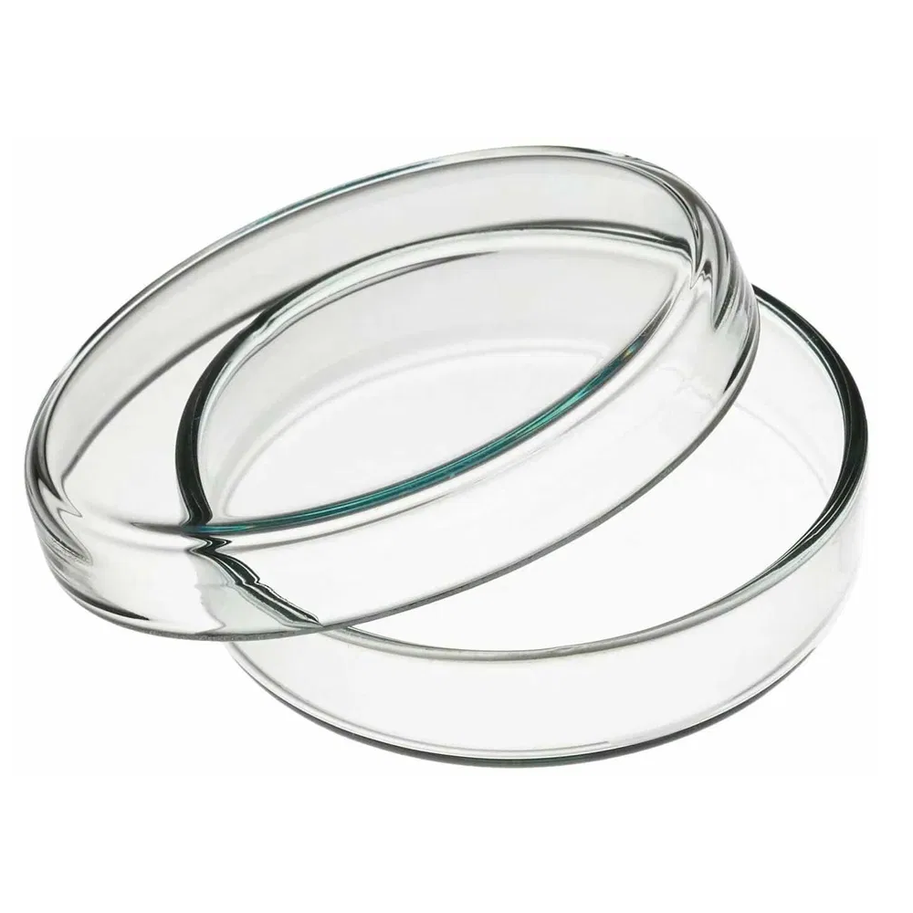 Petri dishes